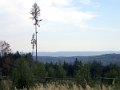 PA073906