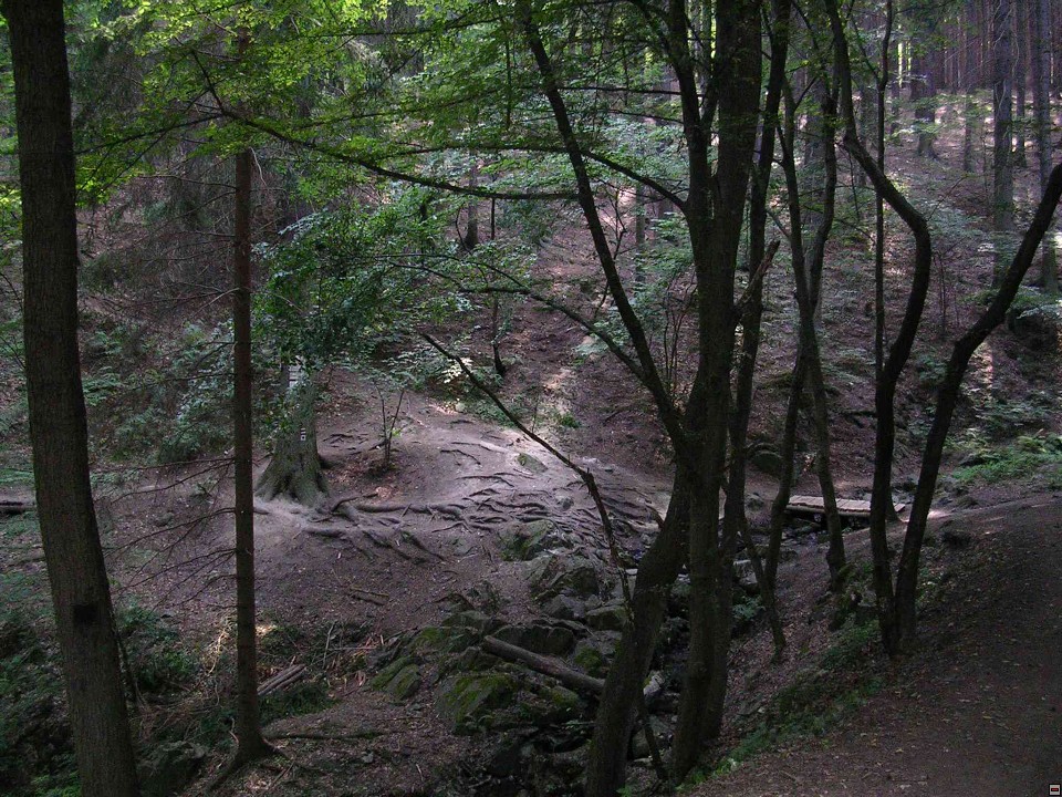 img00075.jpg