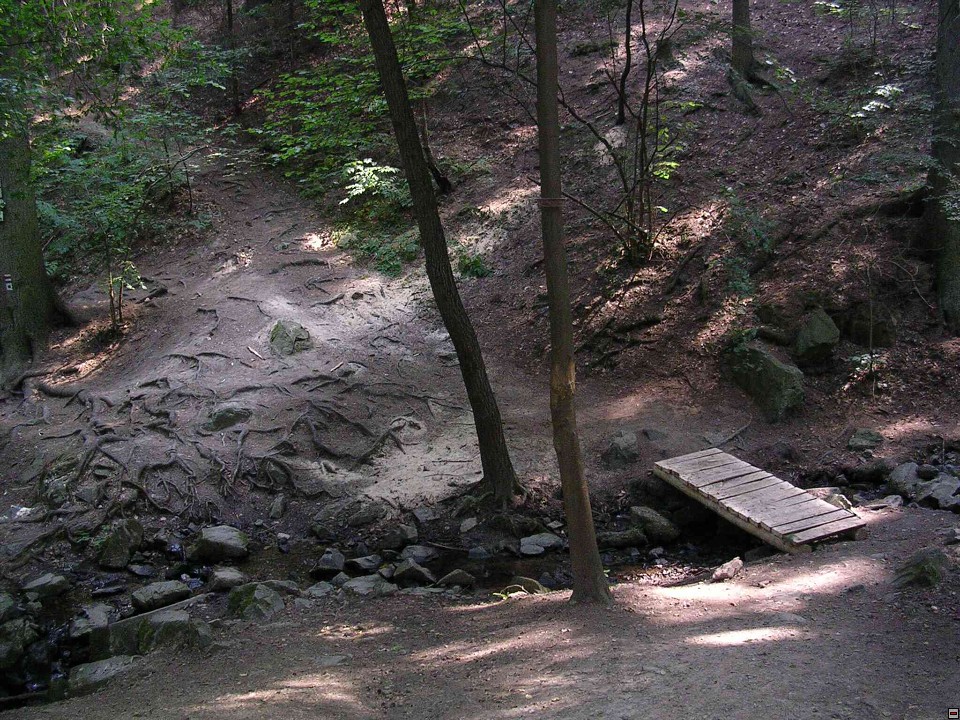 img00076.jpg
