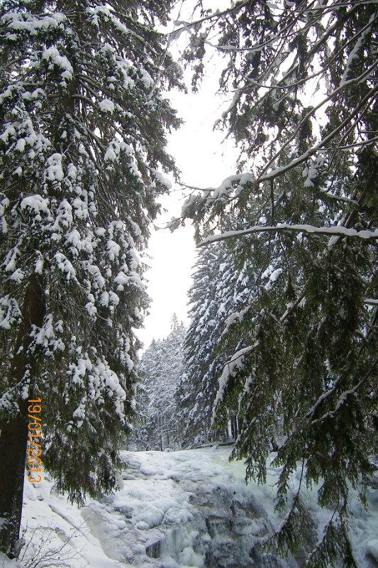 100_2716.JPG