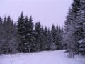 IMG_5402