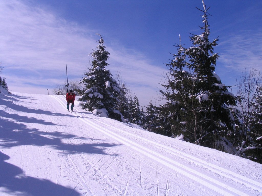 IMG_5446.JPG