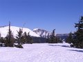 IMG_4385