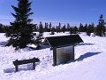 IMG_4389