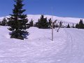 IMG_4390