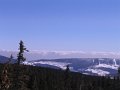 IMG_4399