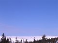 IMG_4402