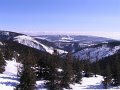 IMG_4406