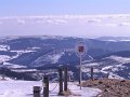 IMG_4408