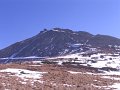 IMG_4427