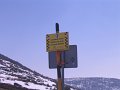 IMG_4431