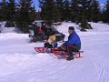 IMG_4453