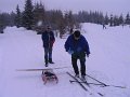 IMG_4459