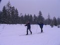 IMG_4460