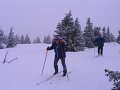 IMG_4463