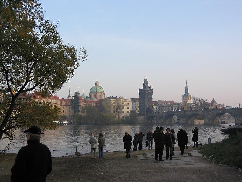 IMG_2976.jpg