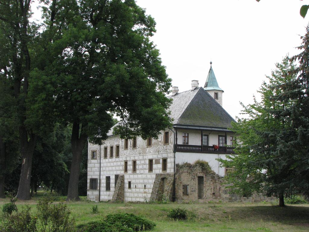 01.jpg
