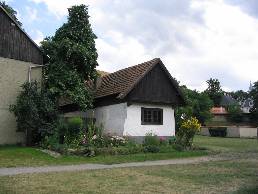 46.jpg