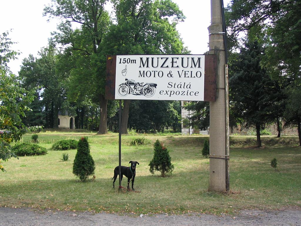 73.jpg