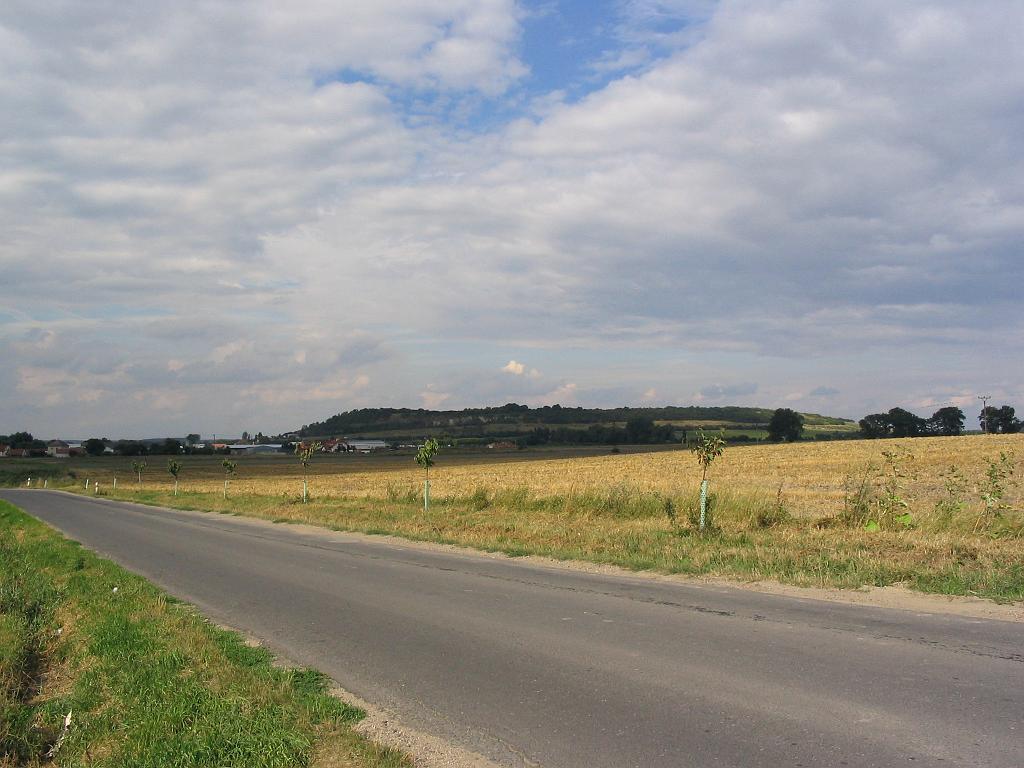 75.jpg