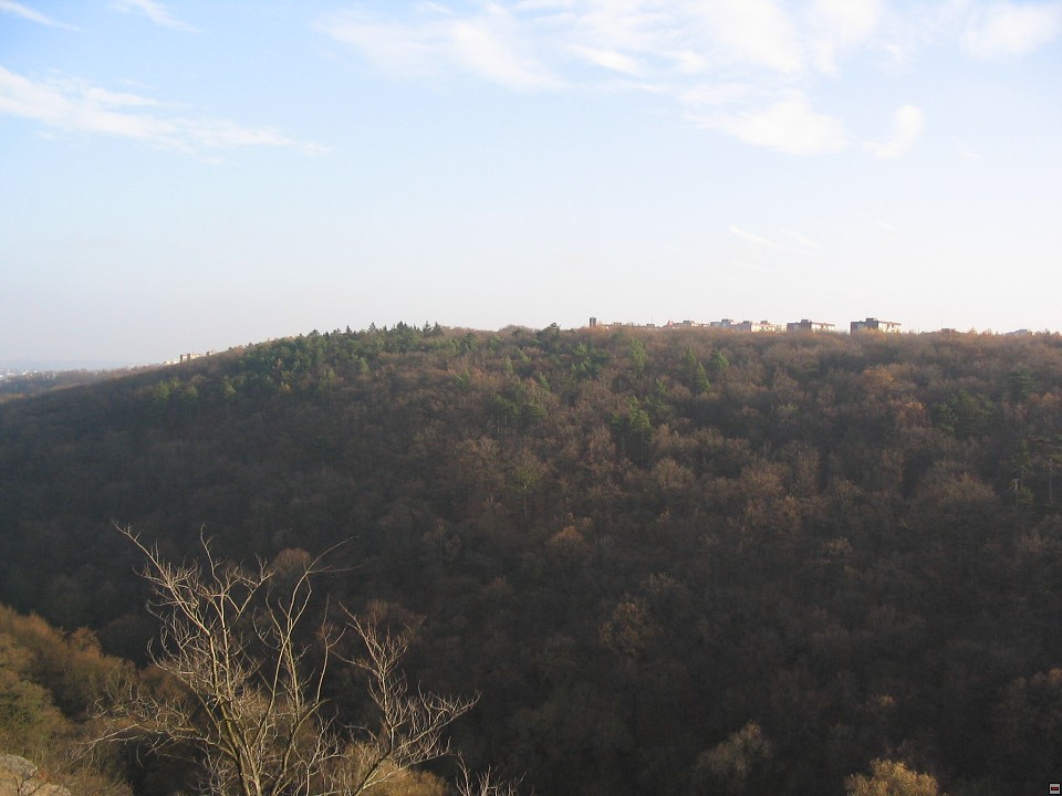 img00007.jpg