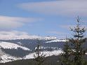 IMG_2157
