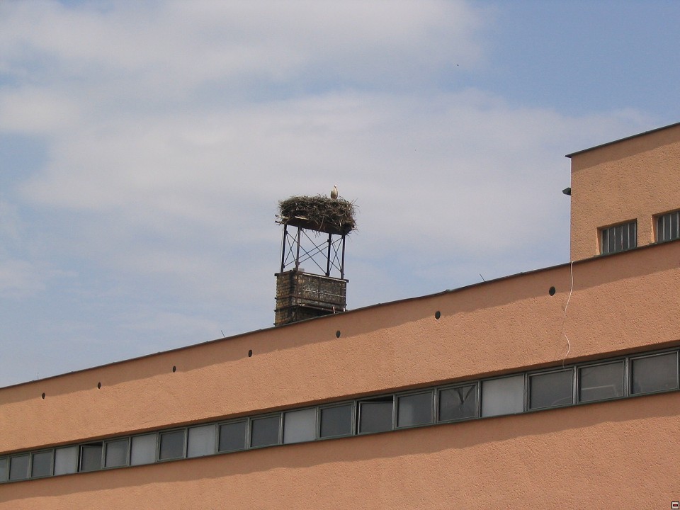 img00074.jpg