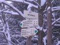 75