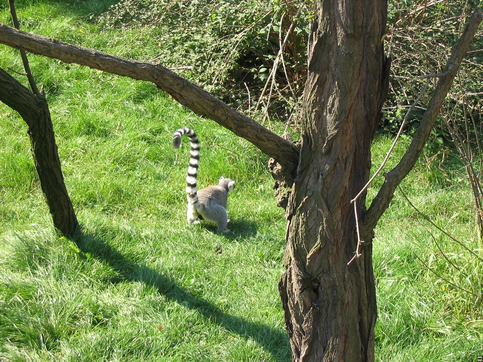 img00002.jpg