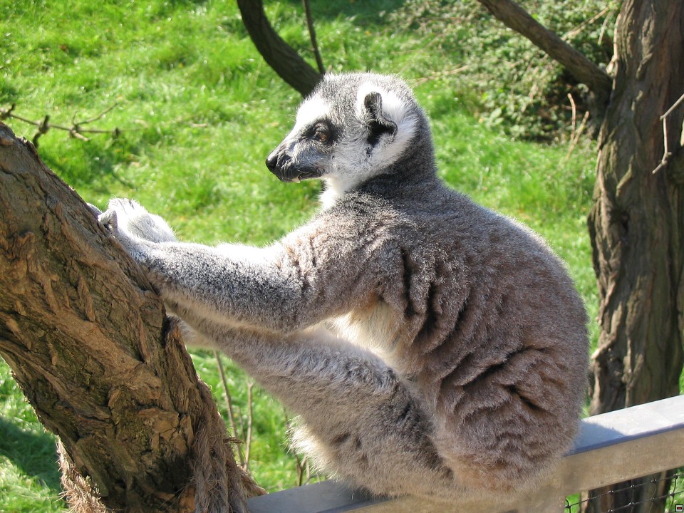 img00006.jpg