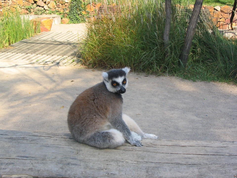 img00009.jpg
