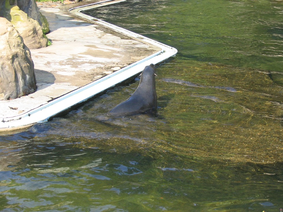 img00012.jpg