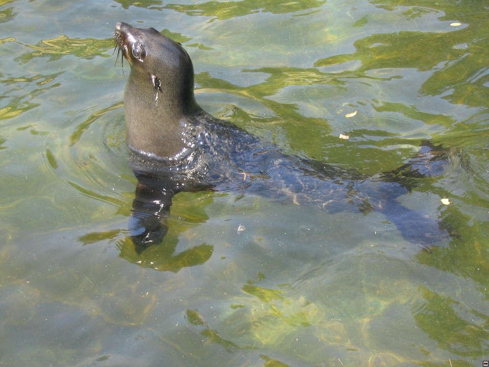 img00013.jpg