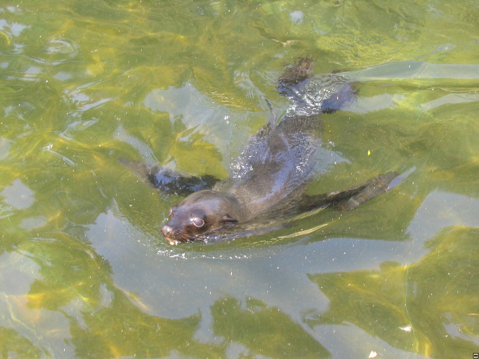 img00014.jpg