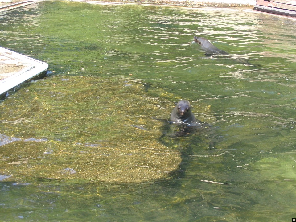 img00015.jpg