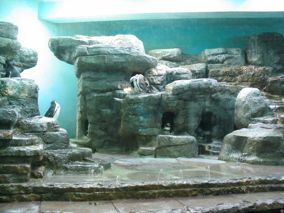 img00016.jpg