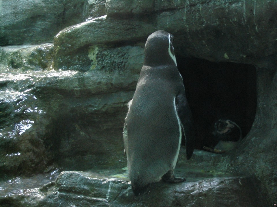 img00017.jpg