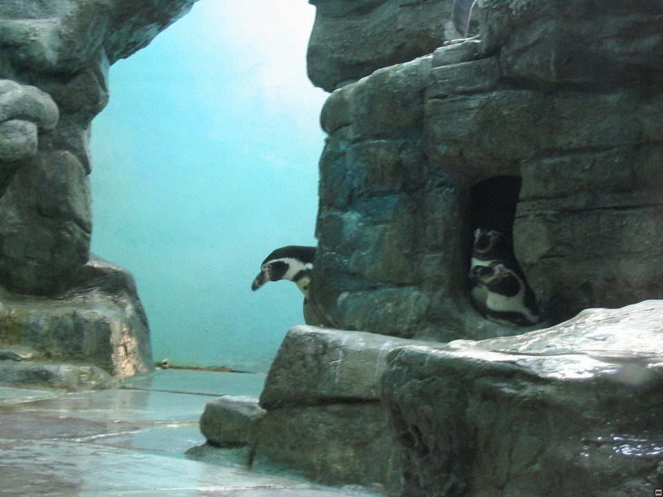 img00018.jpg