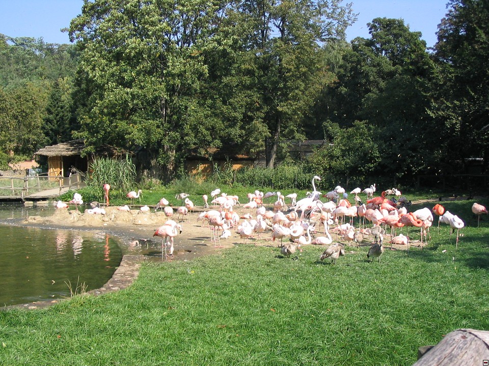 img00021.jpg