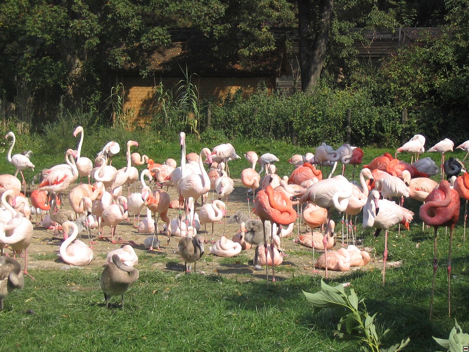 img00022.jpg