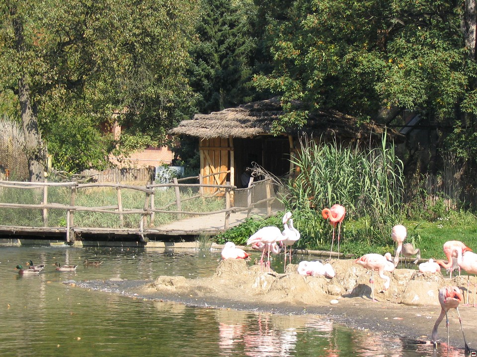 img00023.jpg