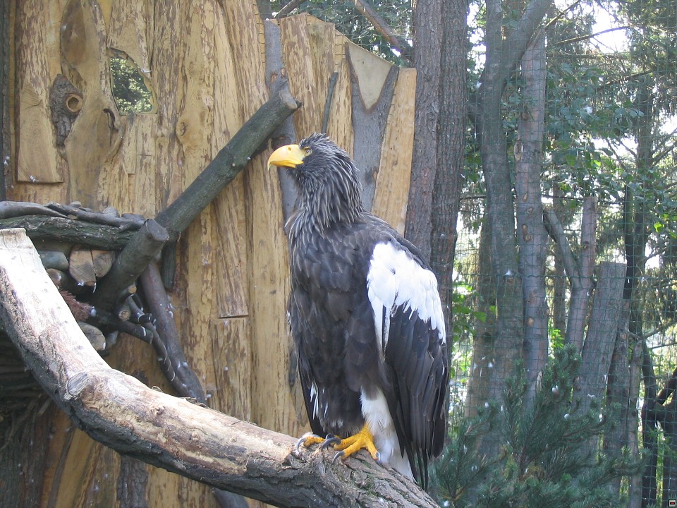 img00024.jpg