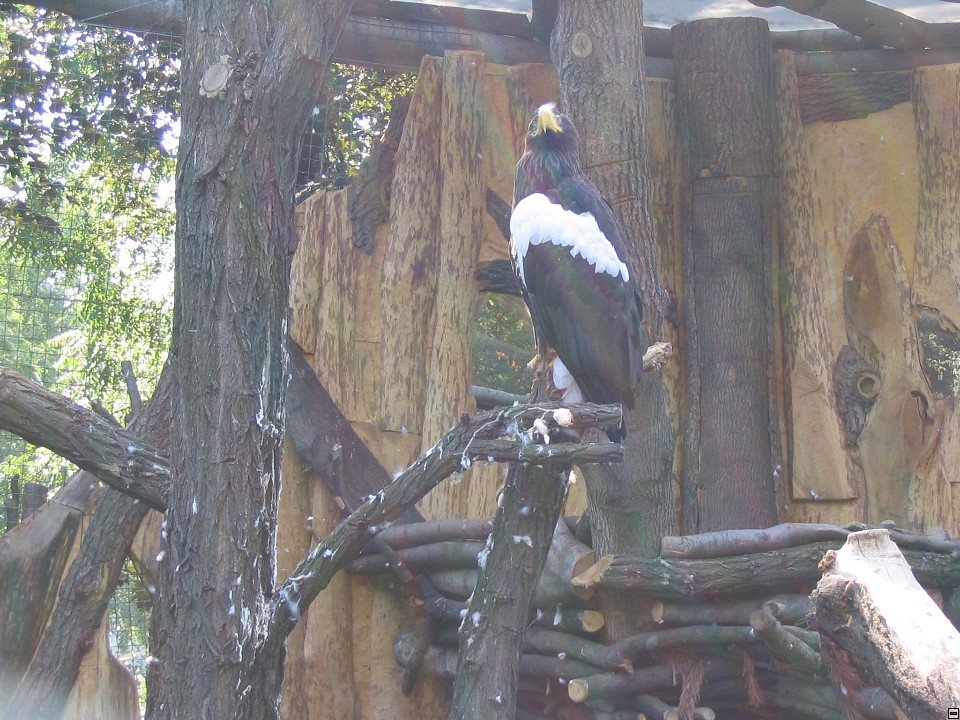 img00025.jpg