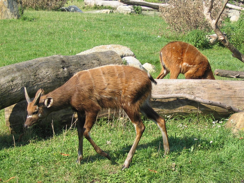 img00026.jpg