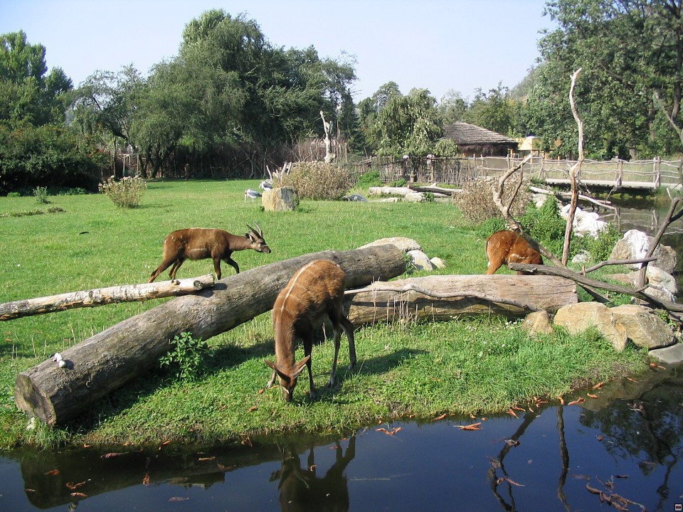 img00027.jpg
