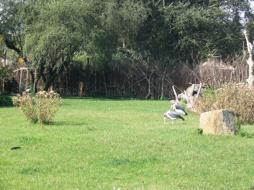 img00028.jpg