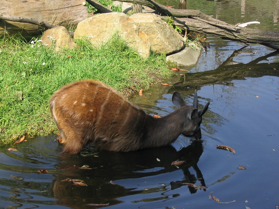 img00029.jpg