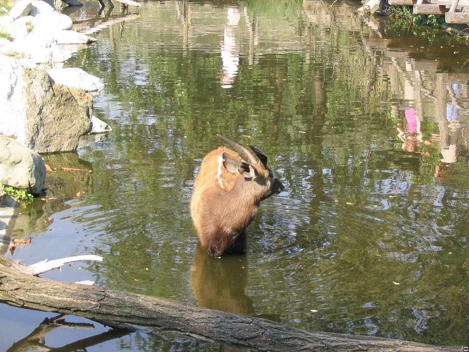 img00030.jpg