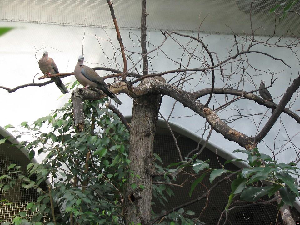 img00032.jpg