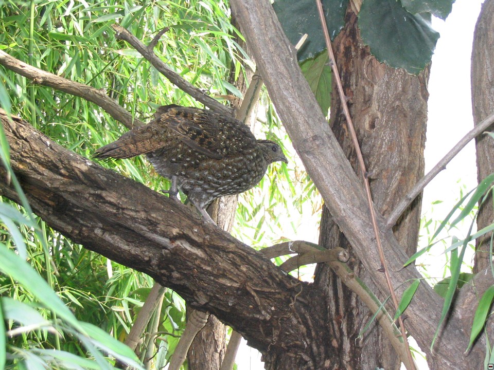 img00033.jpg